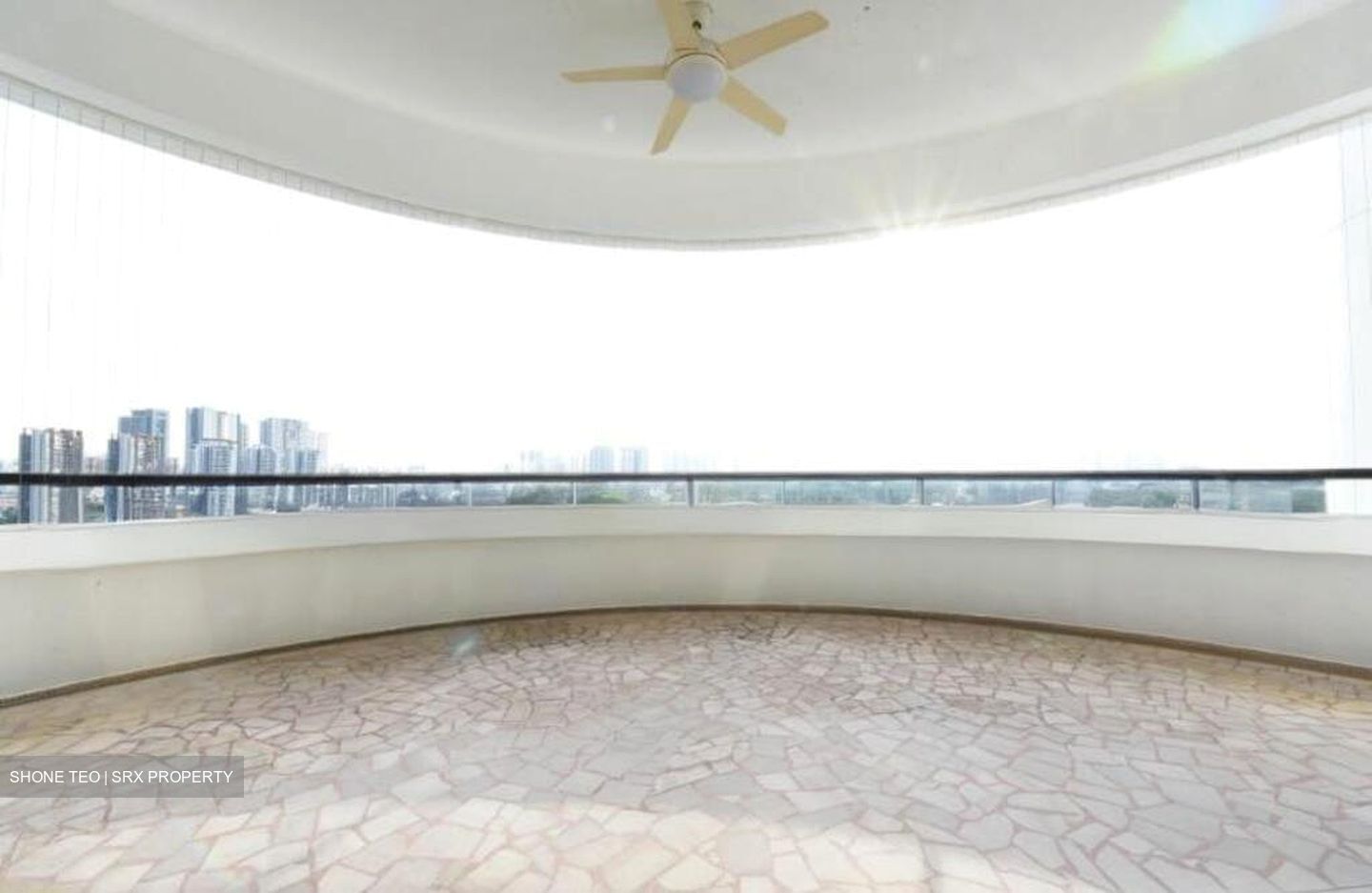 Regency Park (D10), Condominium #519046391